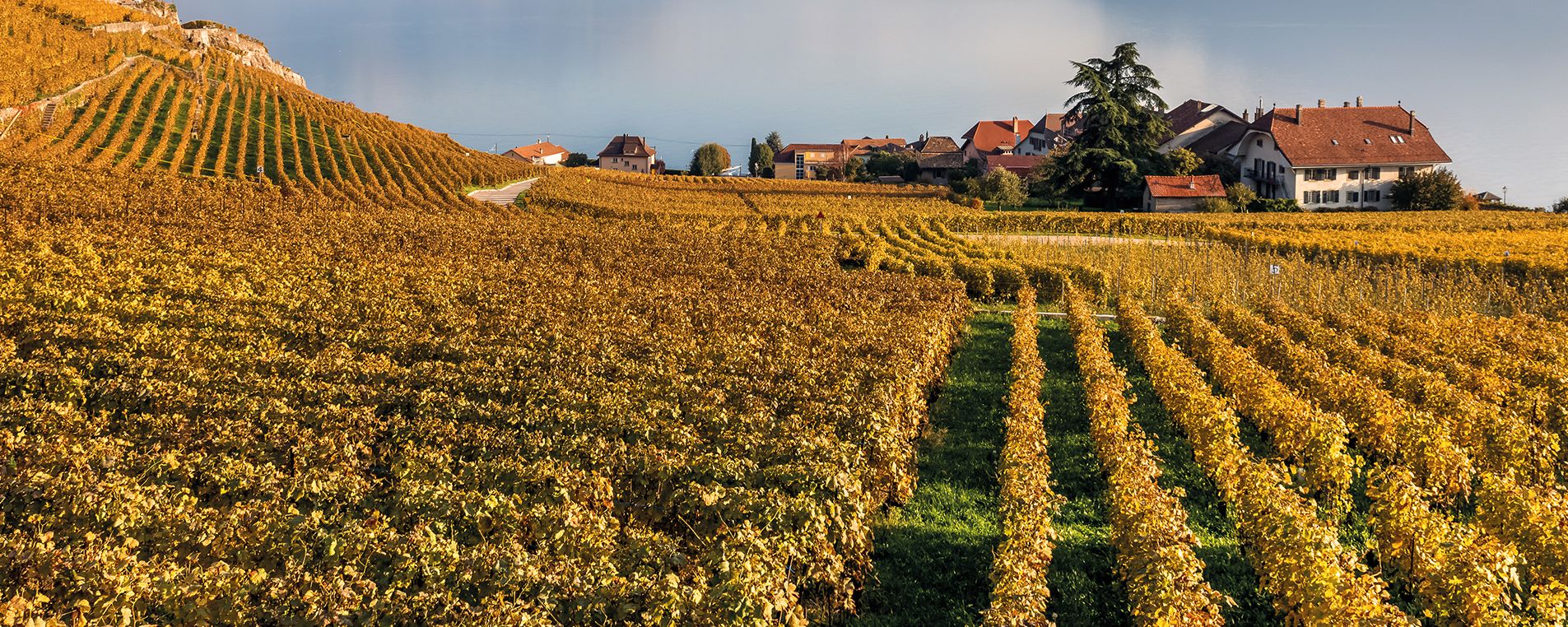 rebberg ambiance cava armoires de stockage du vin