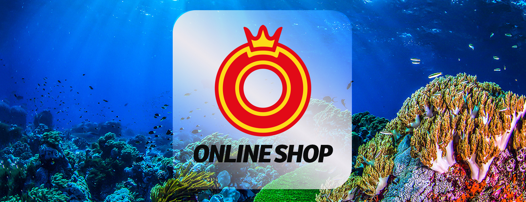 teaser picture of the online shop sonnenkönig underwater picture and logo above